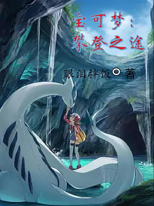 宝可梦:攀登之途